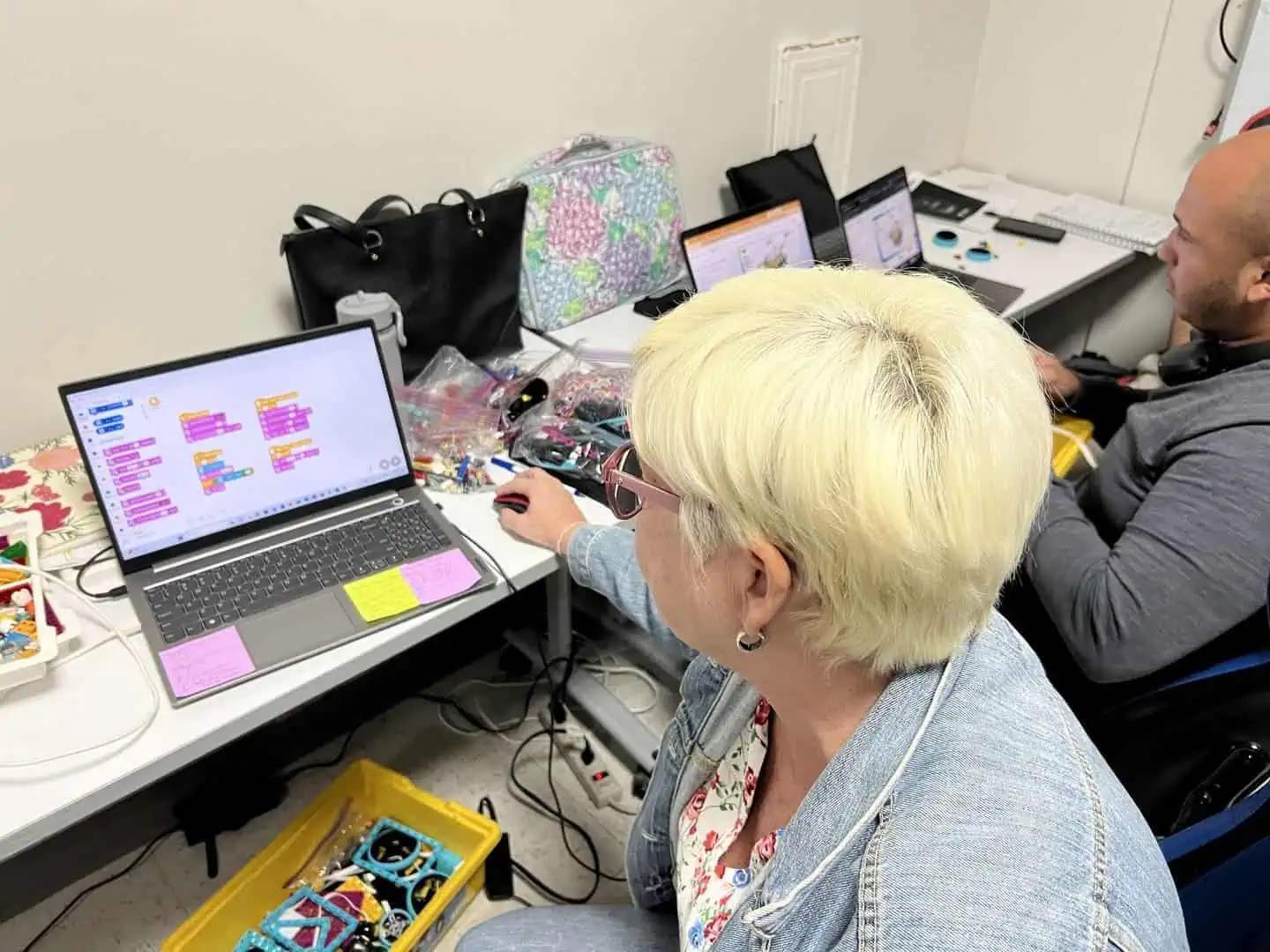 Desarrollo profesional STEM